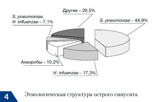 Состав микрофлоры при остром гайморите